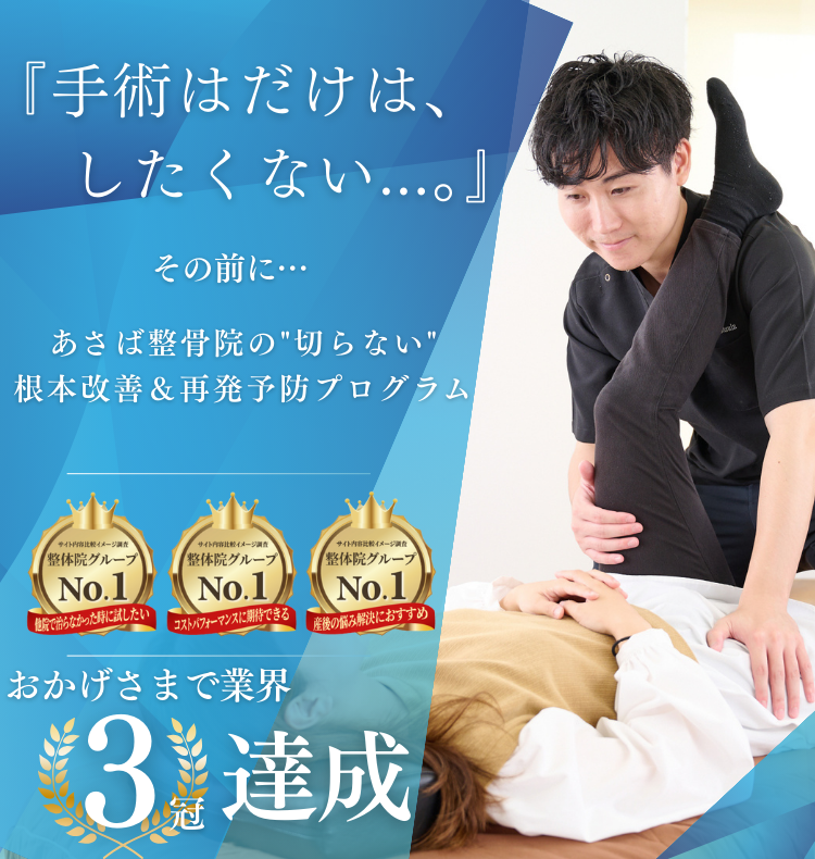 柏の葉の整体・腰痛|あさば整骨院
